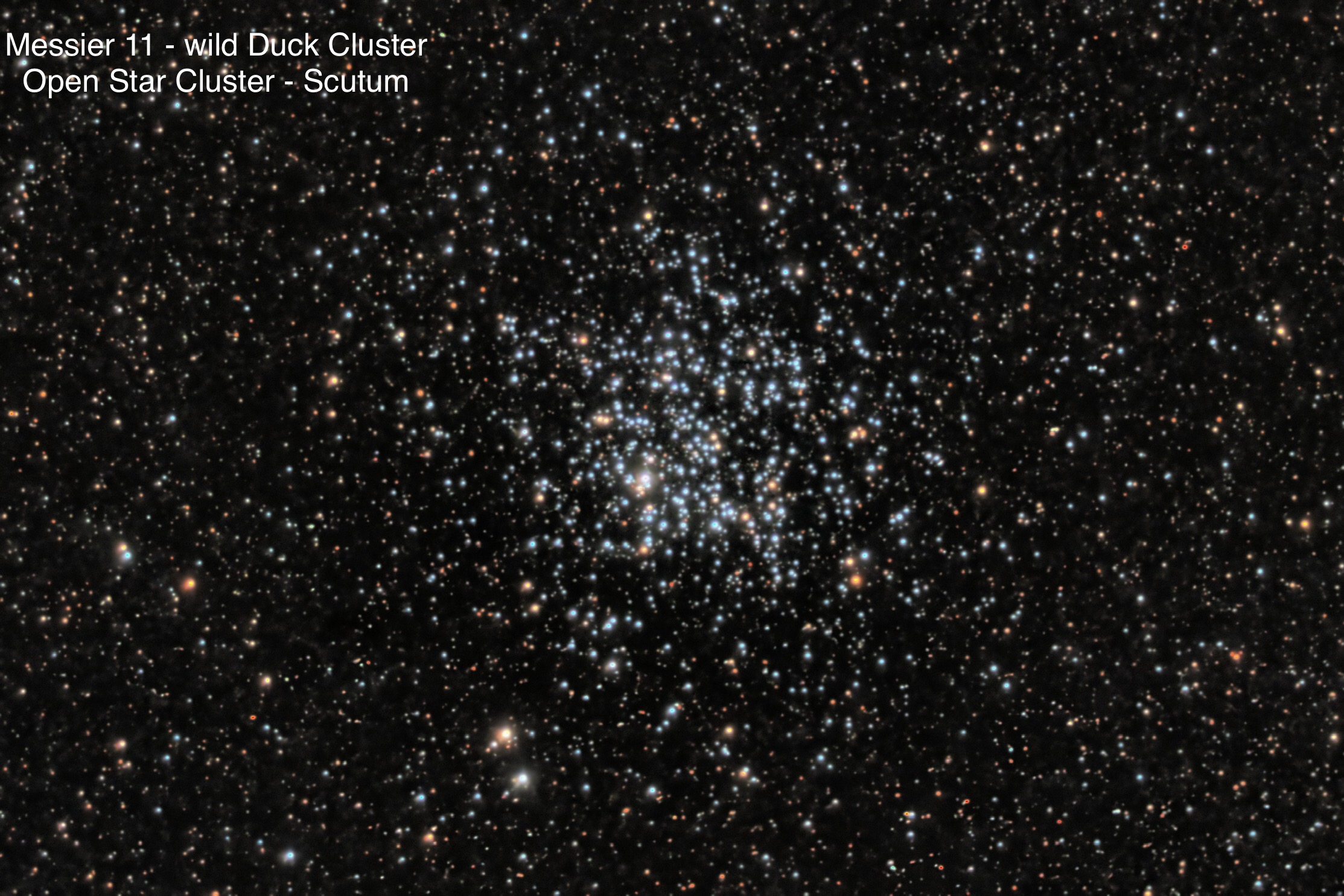 Messier 11 Wild Duck Cluster Open star cluster Constellation Scutum