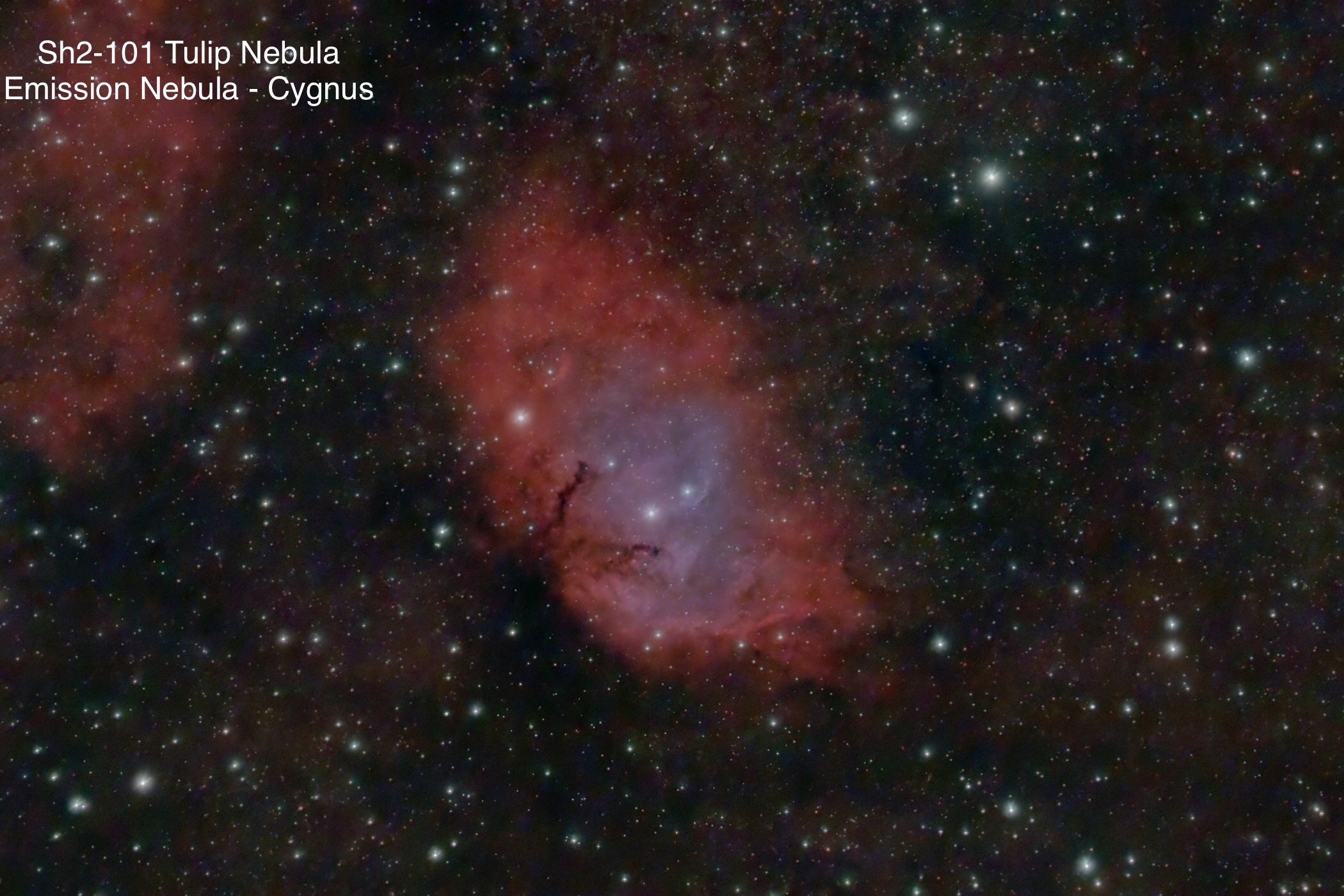 Sh2-101 Tulip Nebula Emission nebula Constellation Cygnus