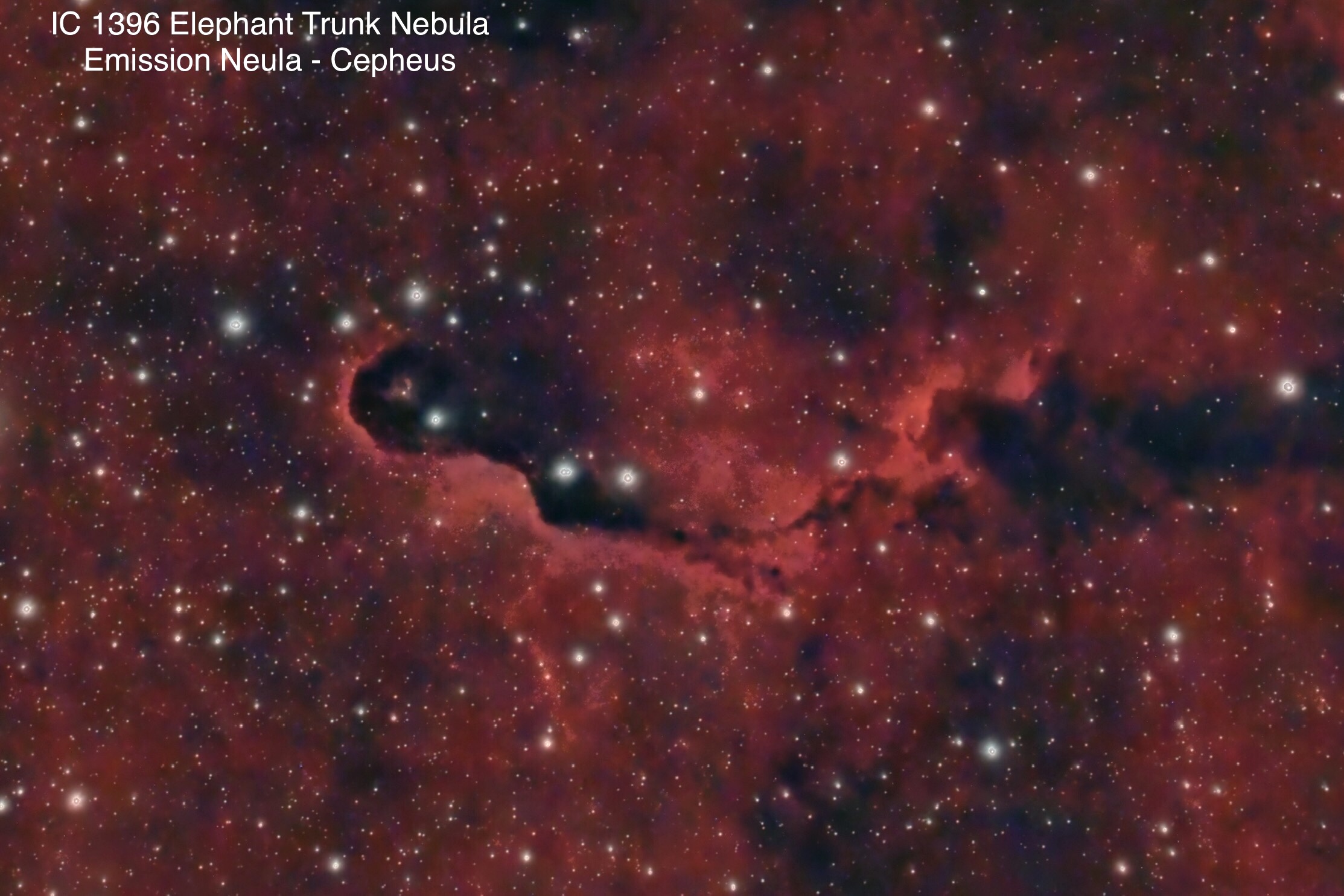 IC 1396 Elephant's Trunk Nebula Emission nebula Constellation Cepheus
