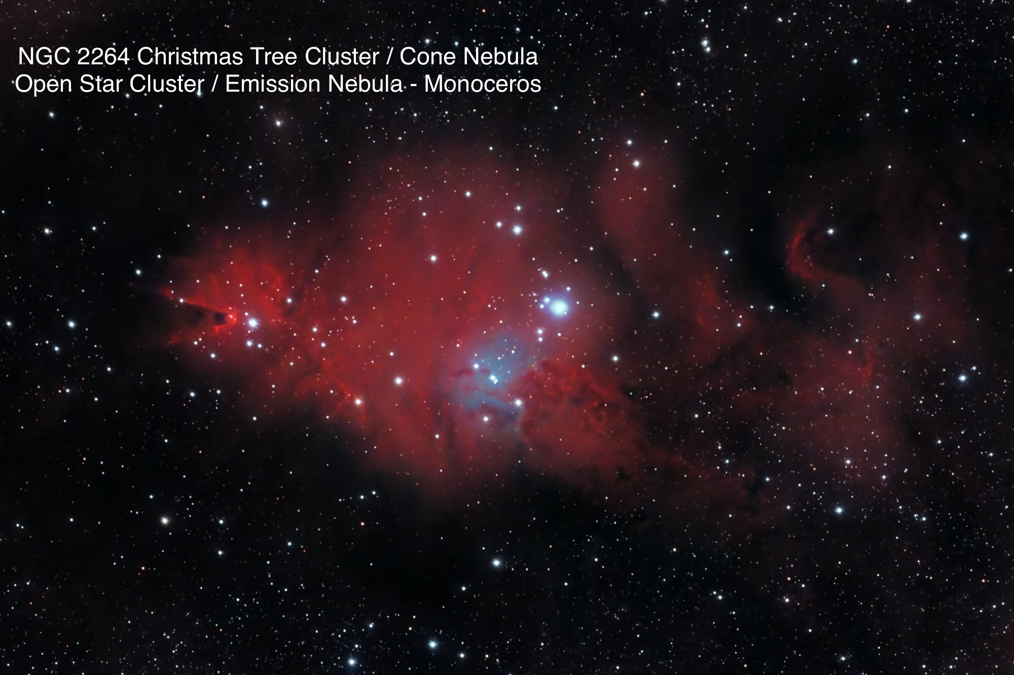 NGC 2264 Christmas Tree Cluster / Cone Nebula Open cluster / Emission nebula Constellation Monoceros