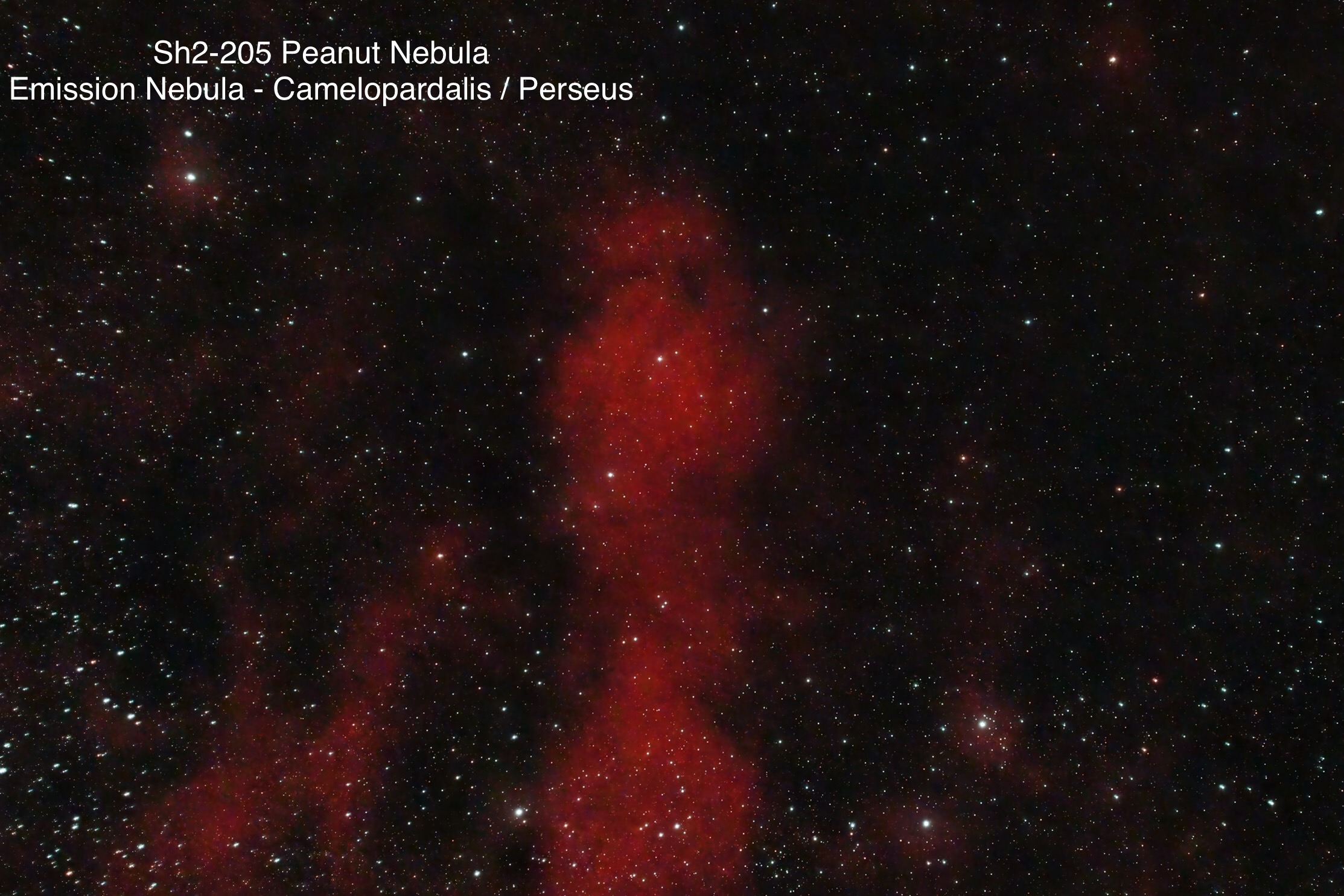 Sh2-205 Peanut Nebula Emission nebula Constellation Camelopardalis / Perseus