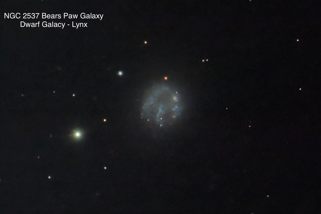 NGC 2537 Bear's Paw Galaxy Dwarf galaxy Constellation Lynx