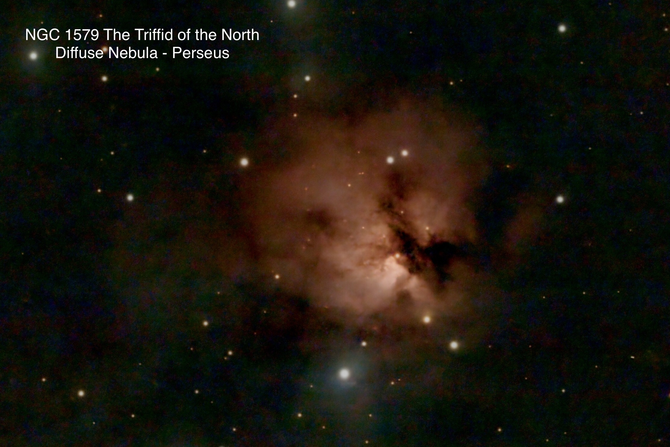 NGC 1579 Triffid of the North Diffuse nebula Constellation Perseus