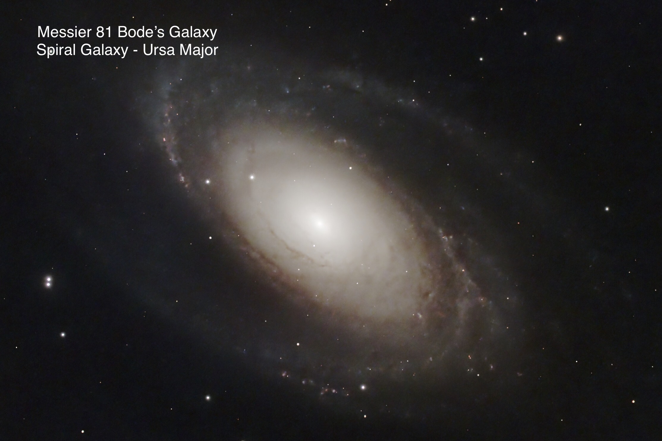 Messier 81 Bode's Galaxy Spiral galaxy Constellation Ursa Major