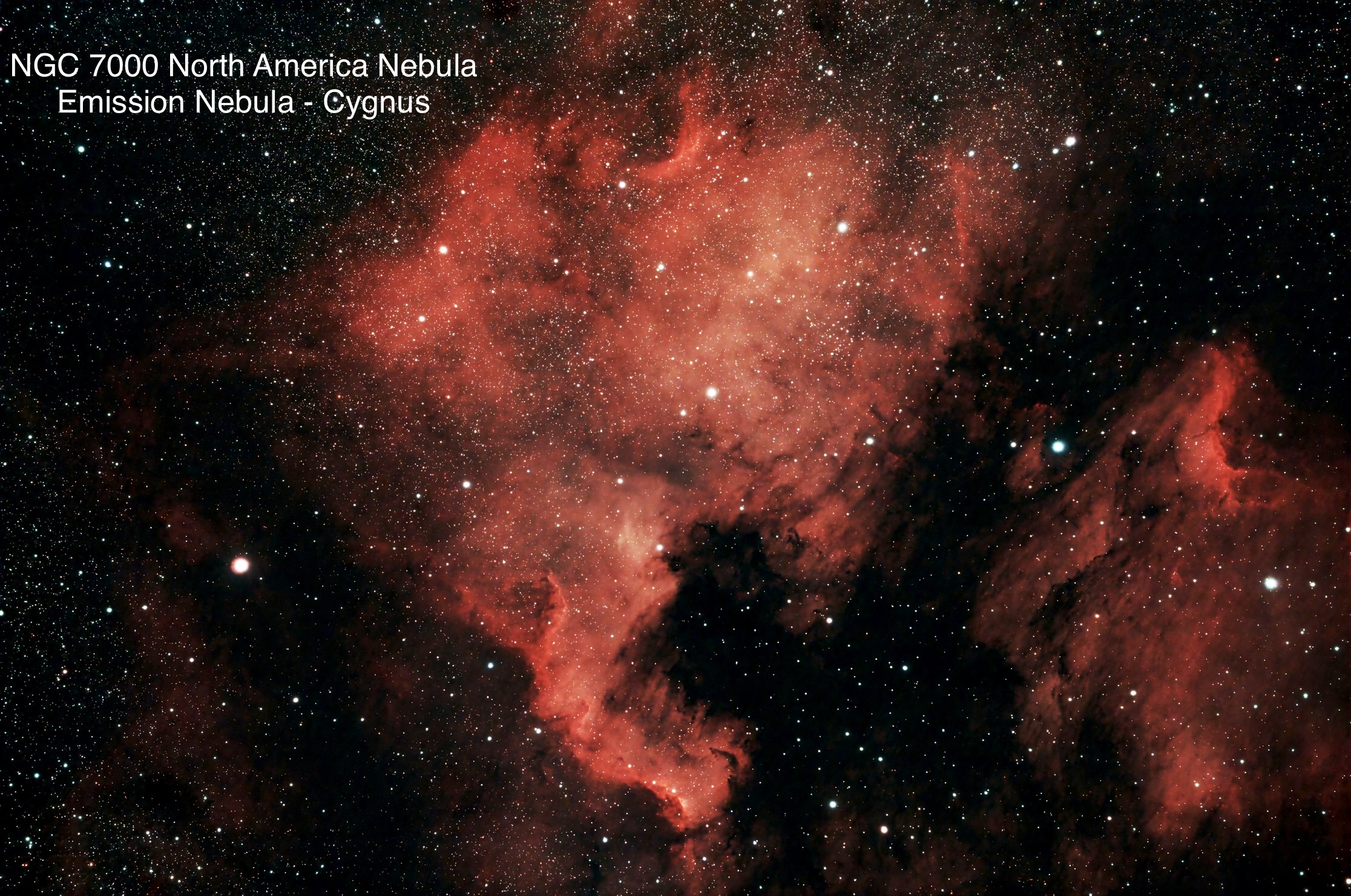 NGC 7000 North America Nebula Emission nebula Constellation Cygnus