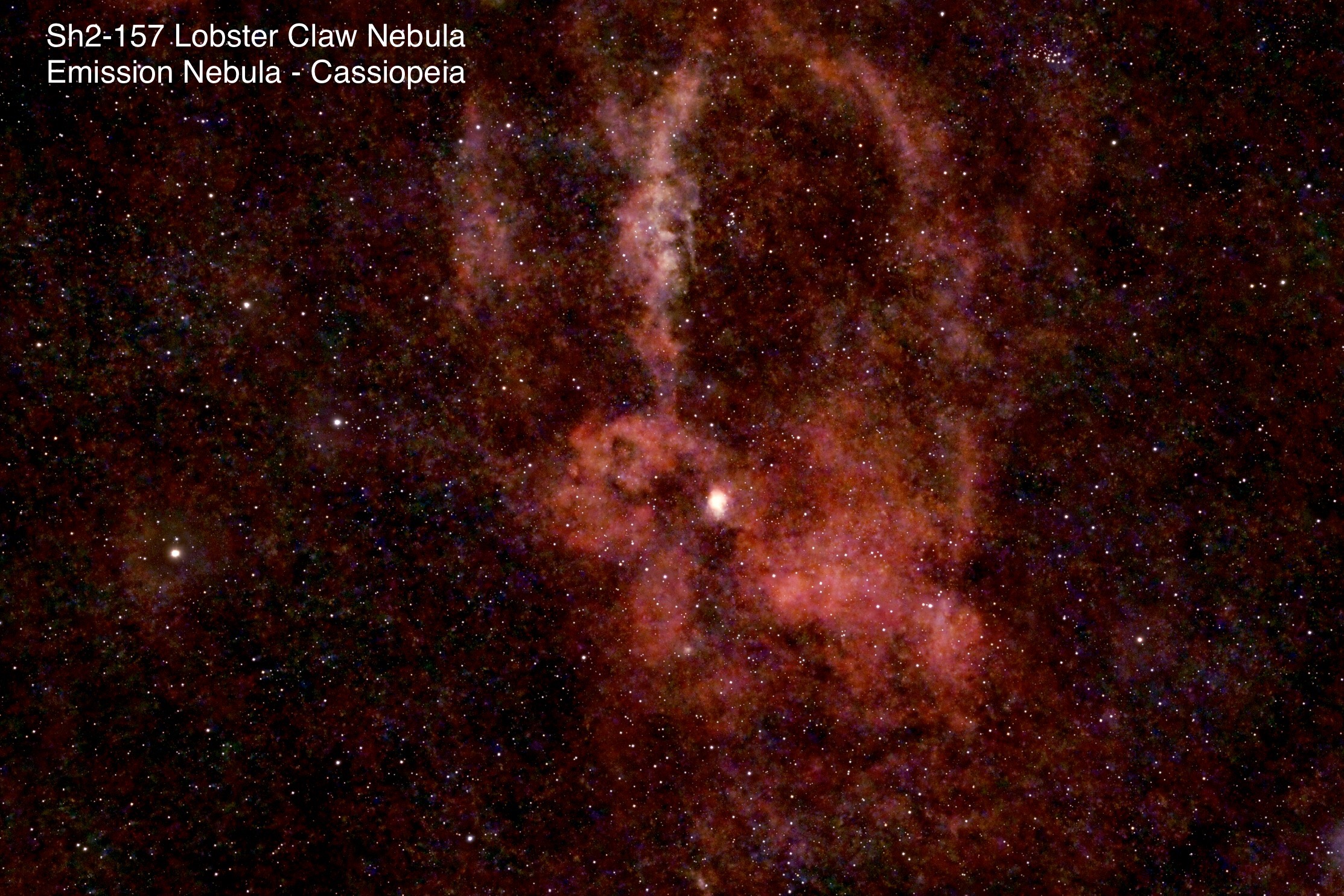 Sh2-157 Lobster Claw Nebula Emission nebula Constellation Cassiopeia