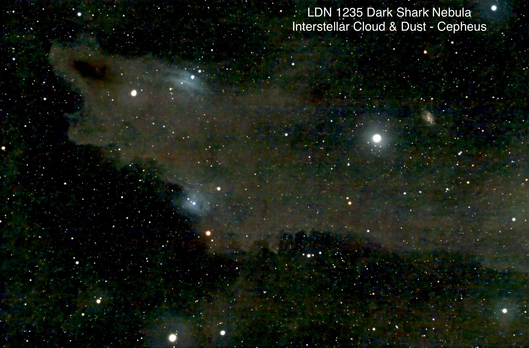 LDN 1235 Dark Shark Nebula Interstellar cloud & dust Constellation Cepheus