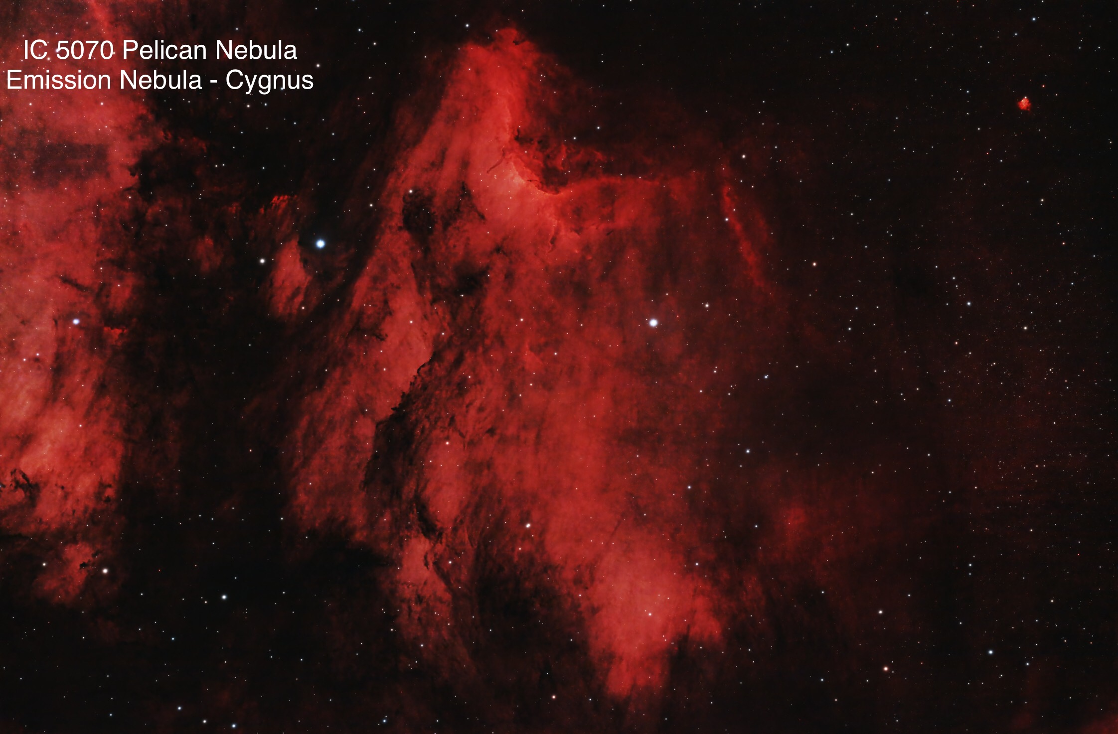 IC 5070 Pelican Nebula Emission Nebula Constellation Cygnus