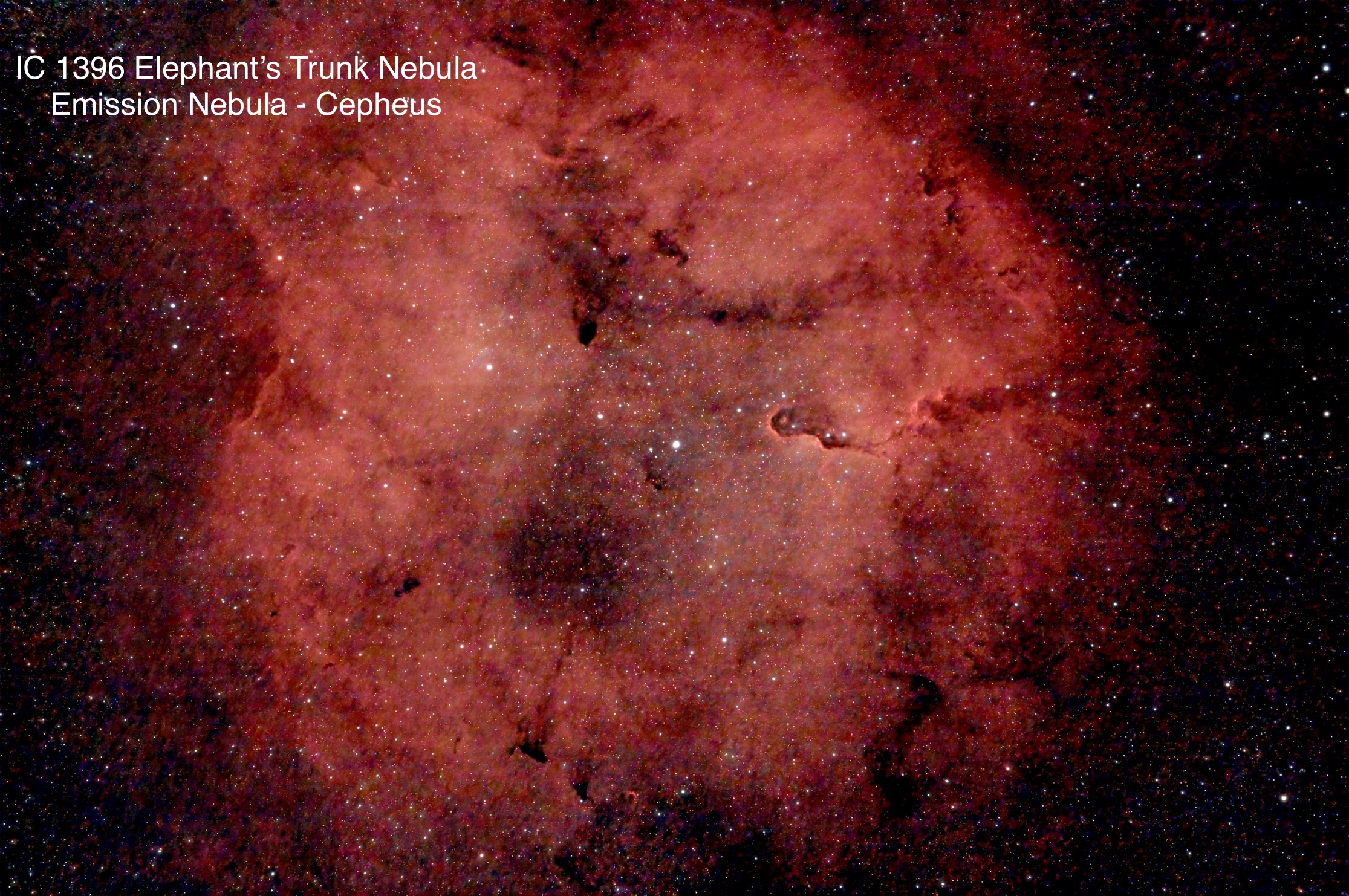 IC 1396 Elephants Trunk Nebula Emission nebula Constellation Cepheus