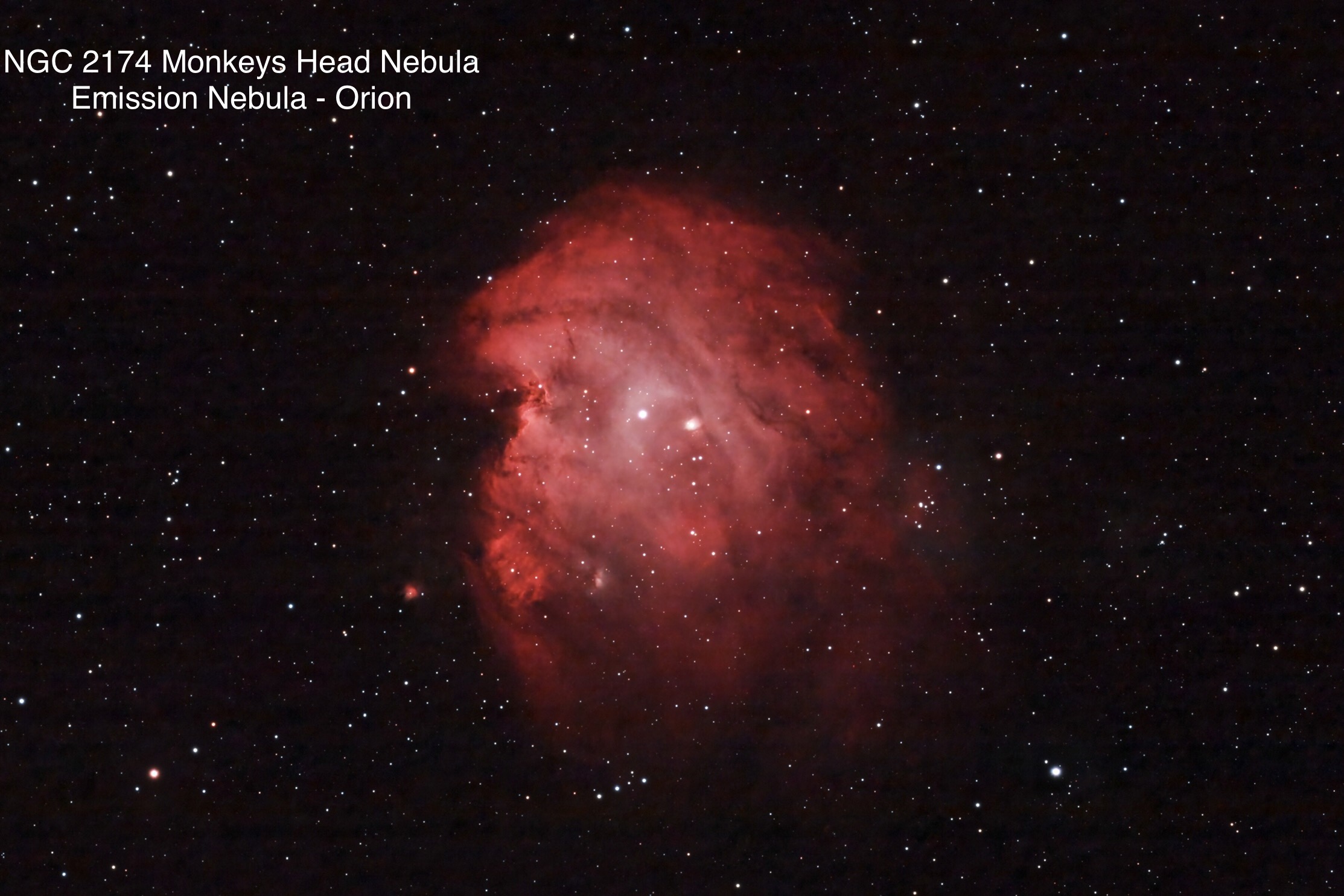 NGC 2174 Monkeys Head Nebula Emission nebula Constellation Orion