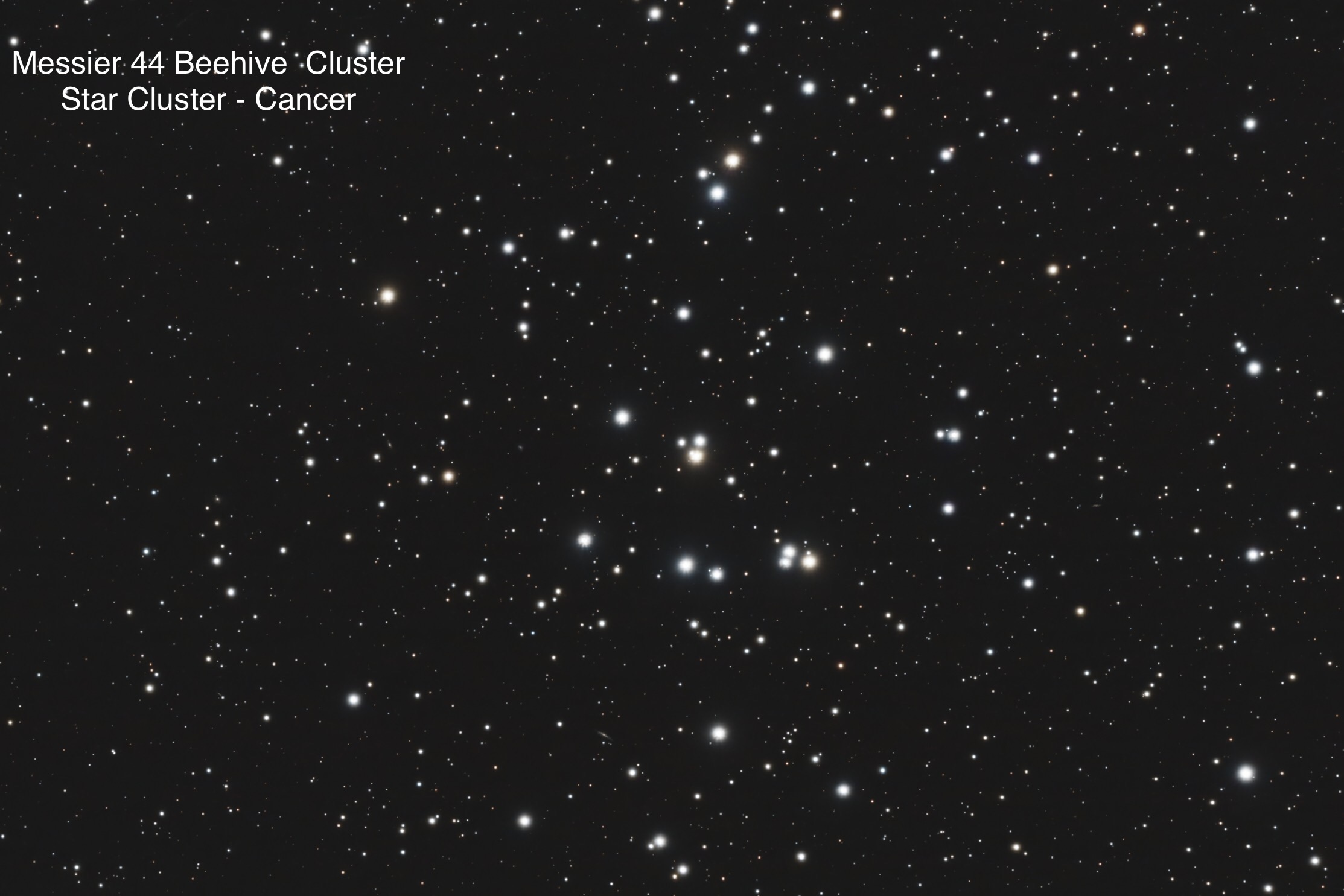 Messier 44 Beehive Cluster Star Cluster Constellation Cancer